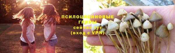 мдпв Баксан